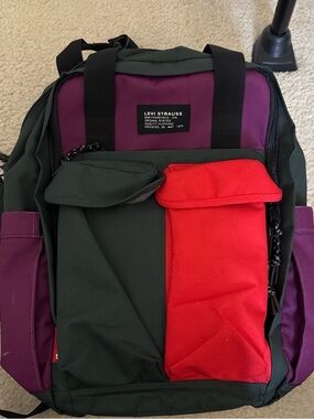 Levi's Men's Green, Purple & Red Colorblock Backpack